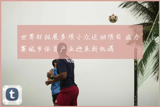 世界杯拓展多项小众运动项目 成办赛城市体育产业迎来新机遇