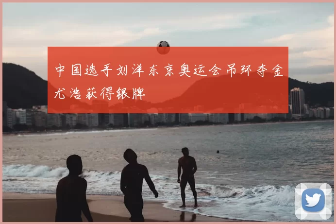 中国选手刘洋东京奥运会吊环夺金尤浩获得银牌