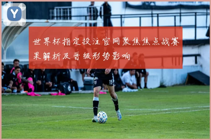 世界杯指定投注官网聚焦焦点战赛果解析及晋级形势影响