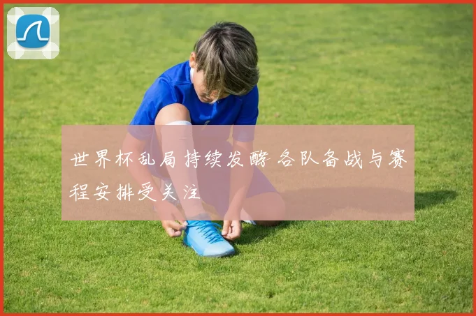 世界杯乱局持续发酵 各队备战与赛程安排受关注
