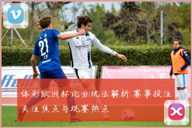 体彩欧洲杯比分玩法解析 赛事投注关注焦点与观赛热点