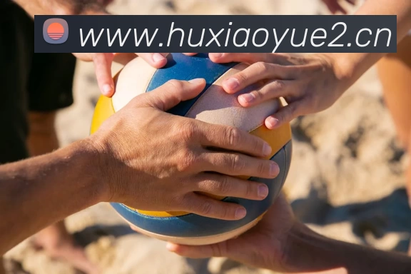 韦德·官方端入口 - 韦德(中国)品牌故事